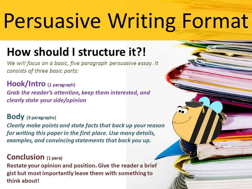 how to write a good persuasive essay united states
